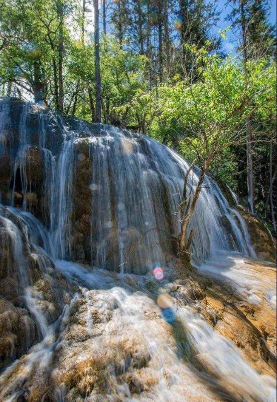 虫虫助手下载